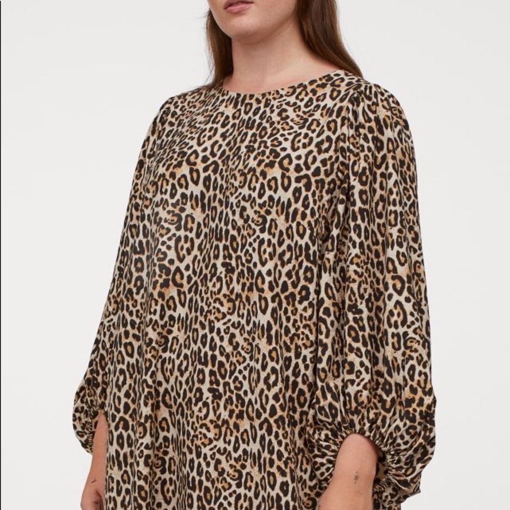 H&M Puff Sleeve Dress